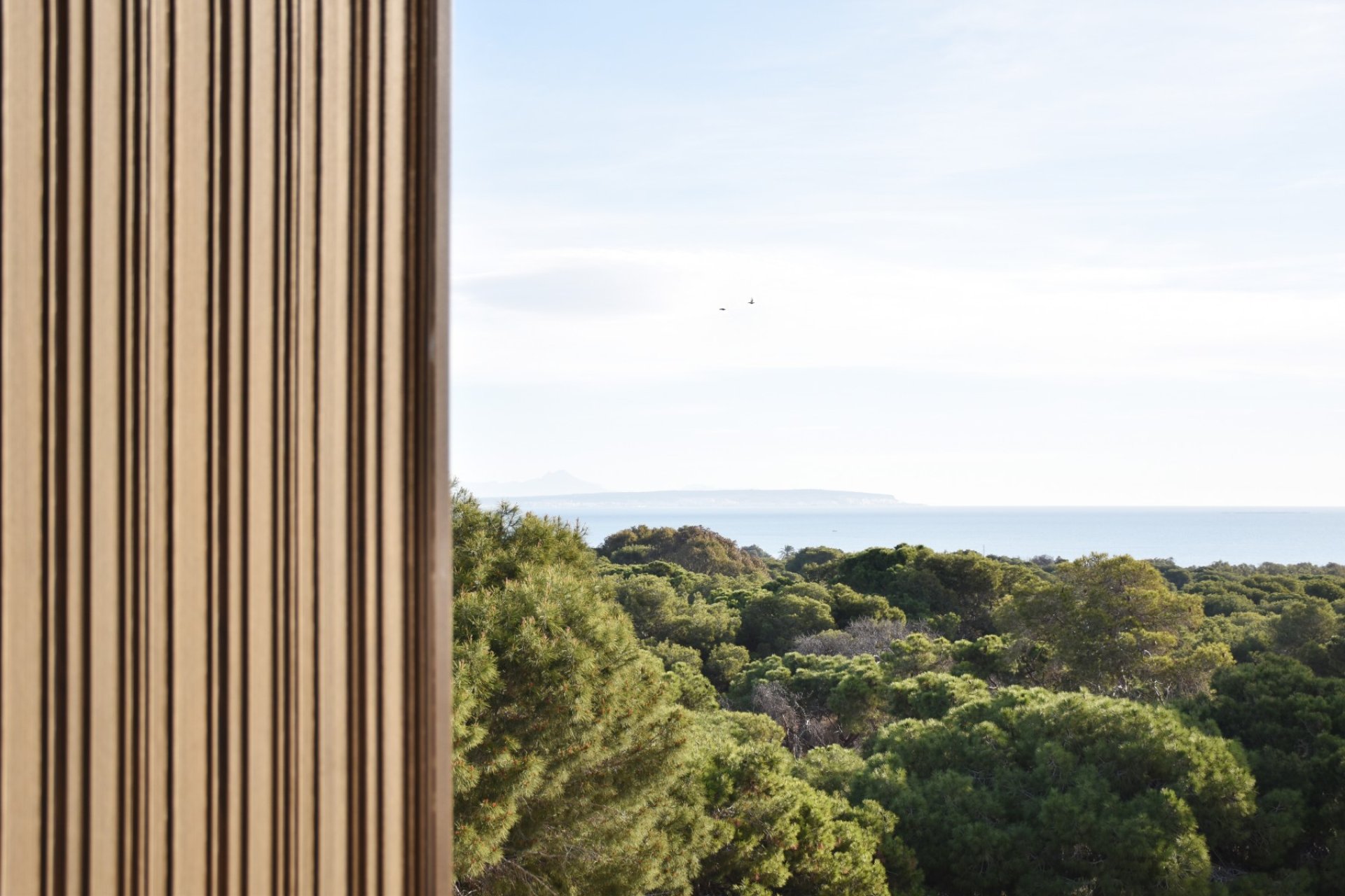 Revente - Parcelle / Terrain - Guardamar del Segura