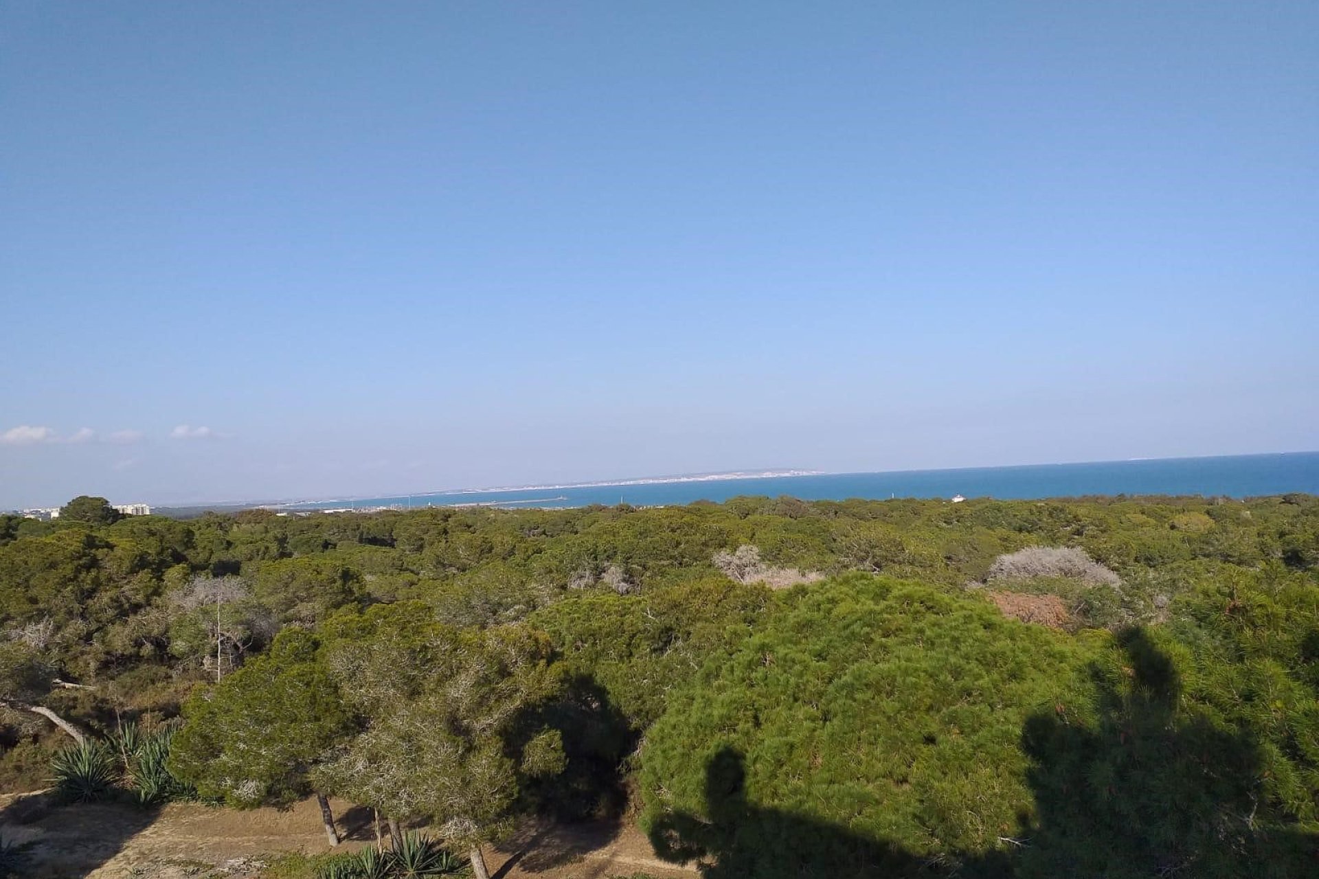 Revente - Parcelle / Terrain - Guardamar del Segura