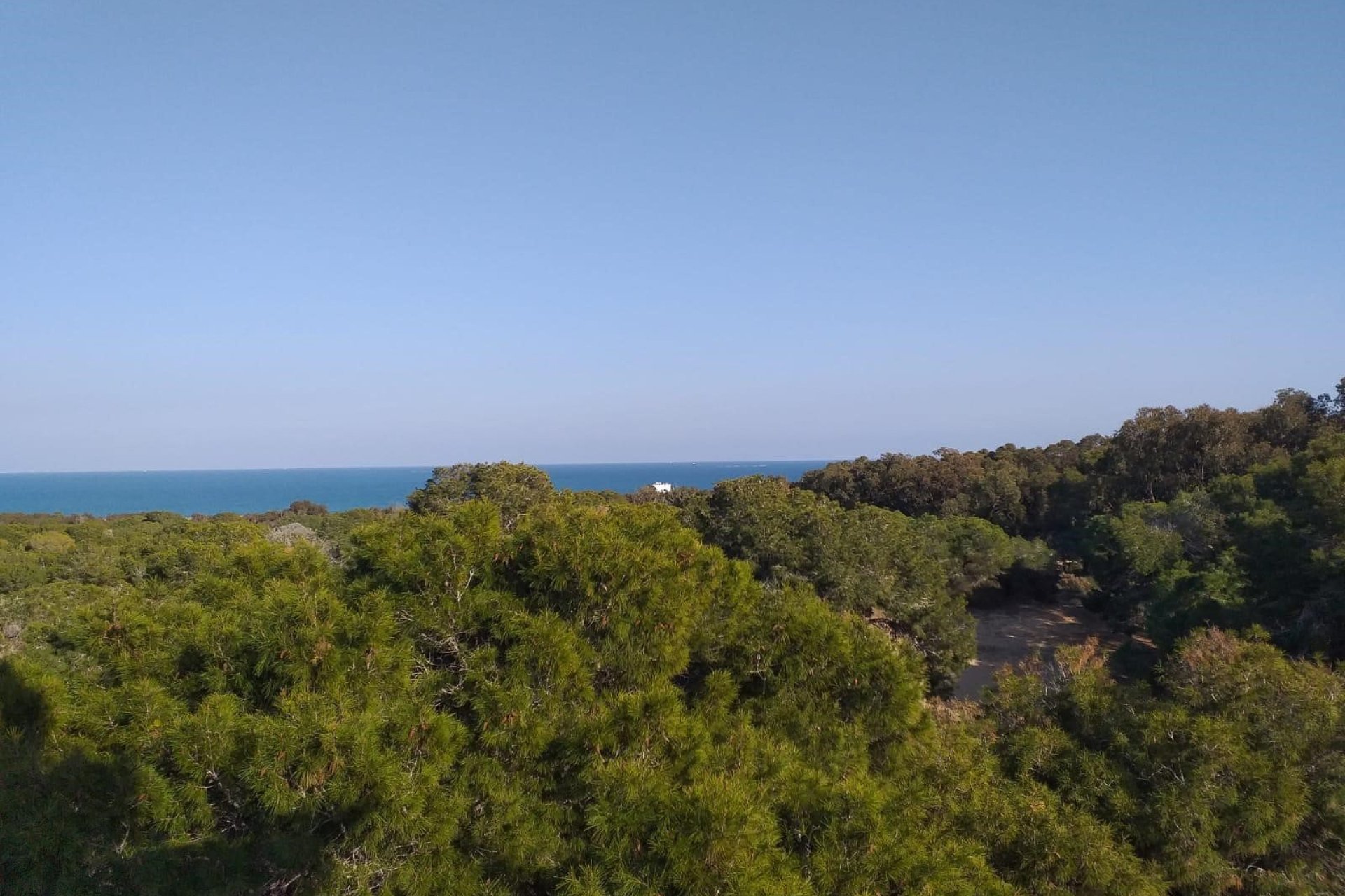 Revente - Parcelle / Terrain - Guardamar del Segura