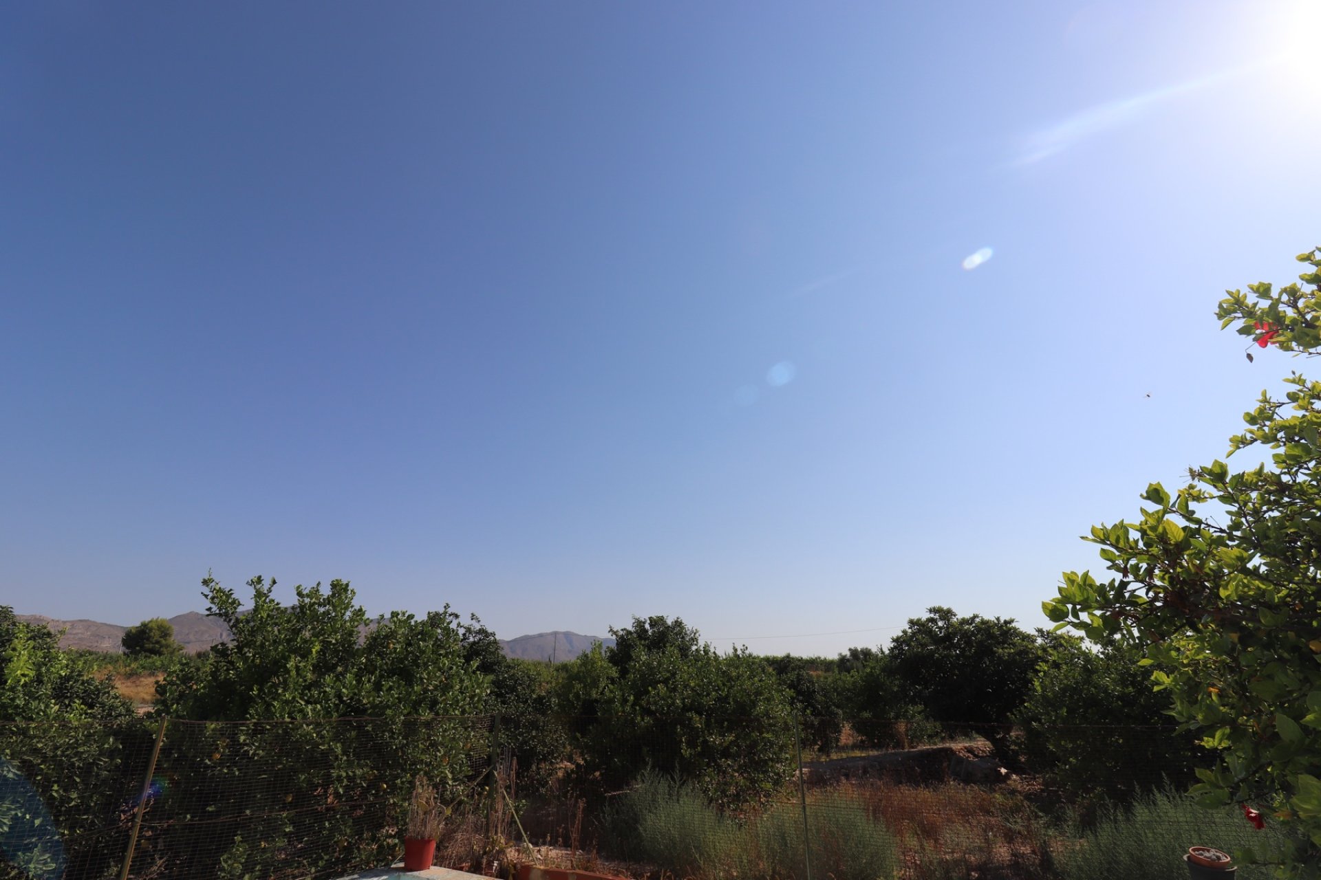 Revente - Villa - Albatera