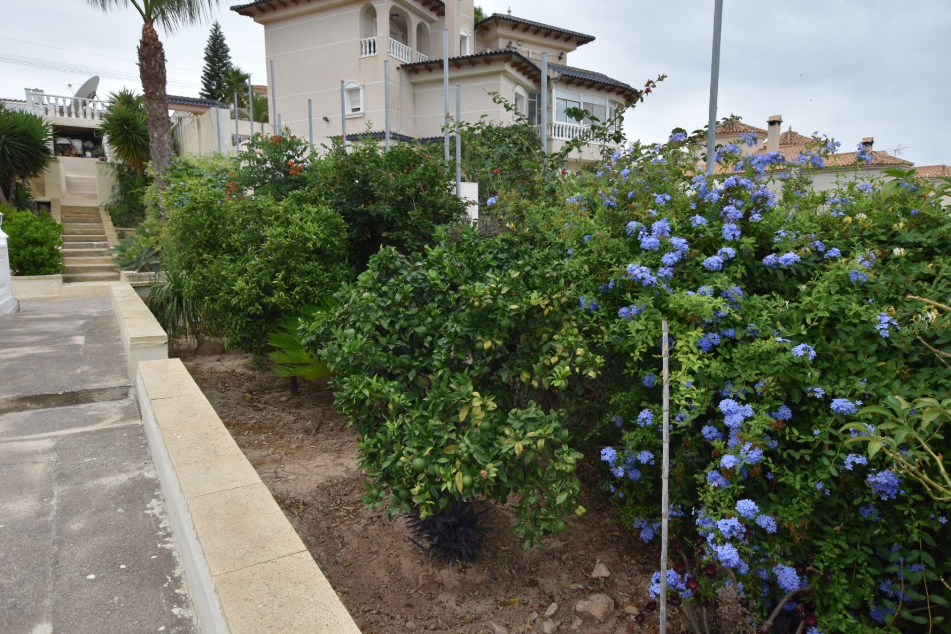 Revente - Villa - Algorfa - Montemar