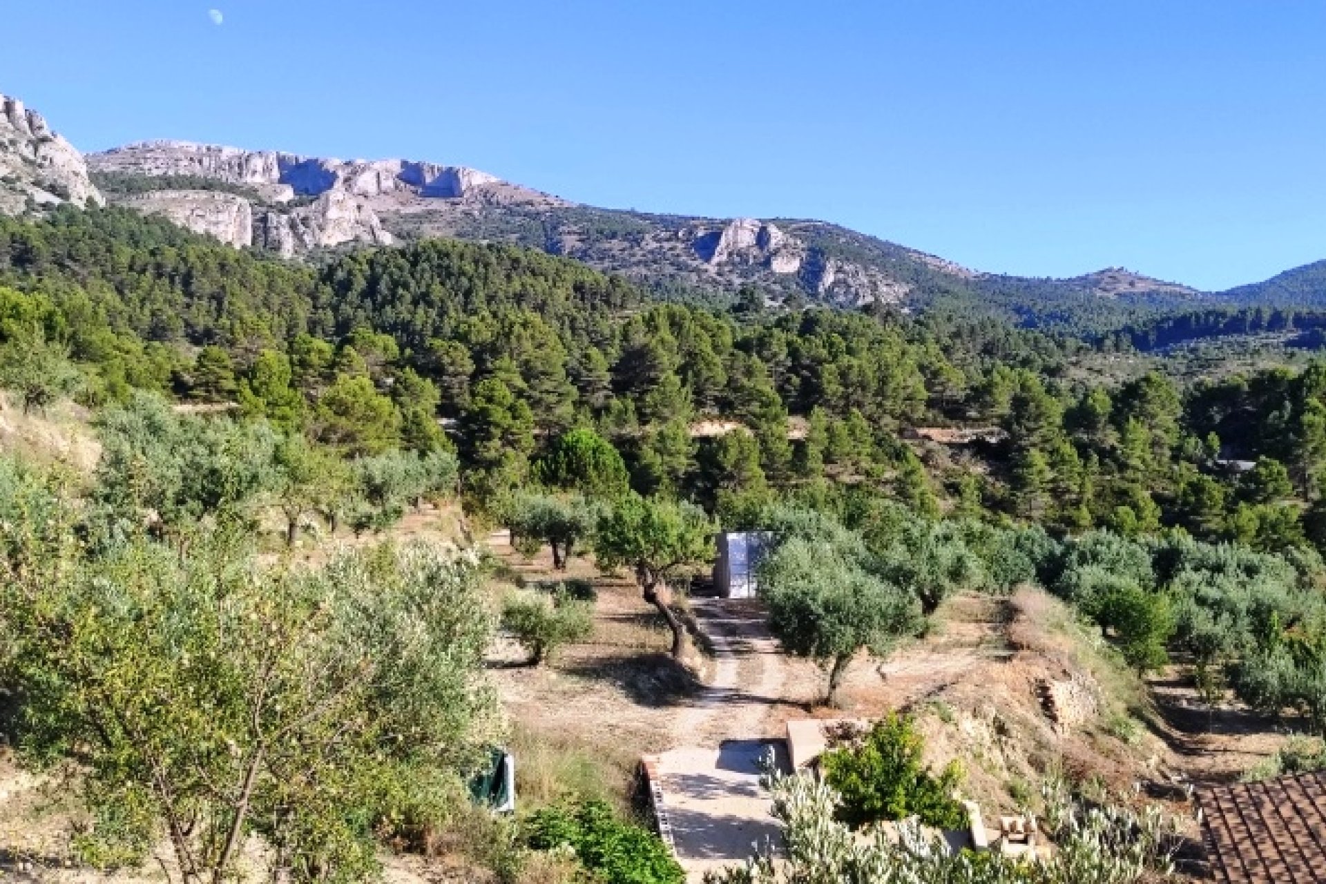 Revente - Villa - Benasau