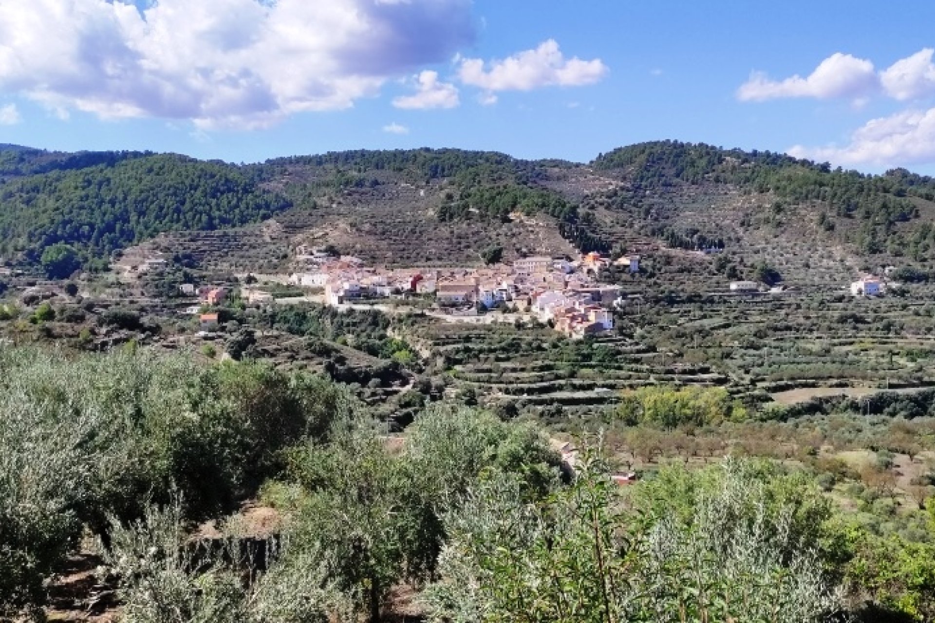 Revente - Villa - Benasau