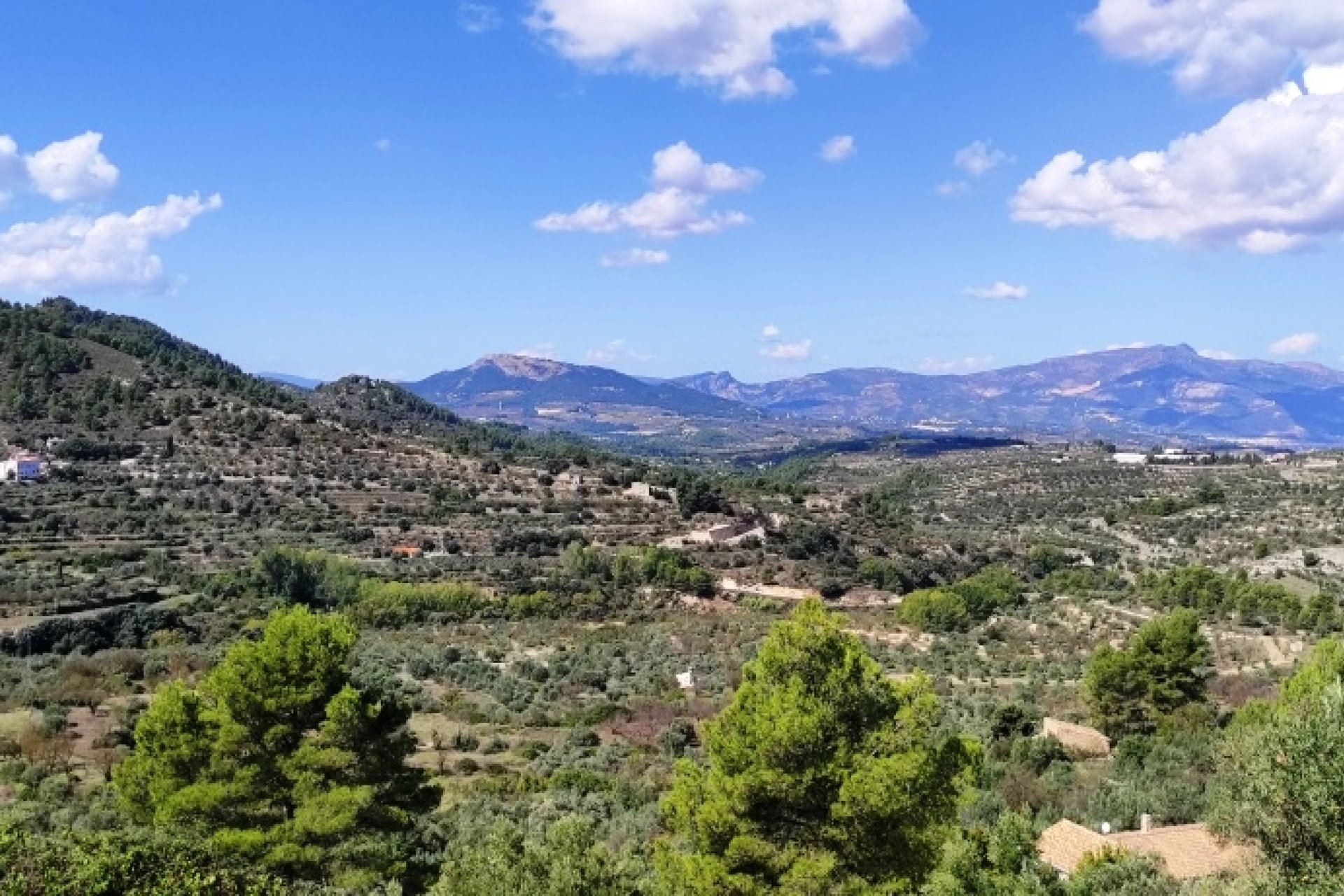 Revente - Villa - Benasau