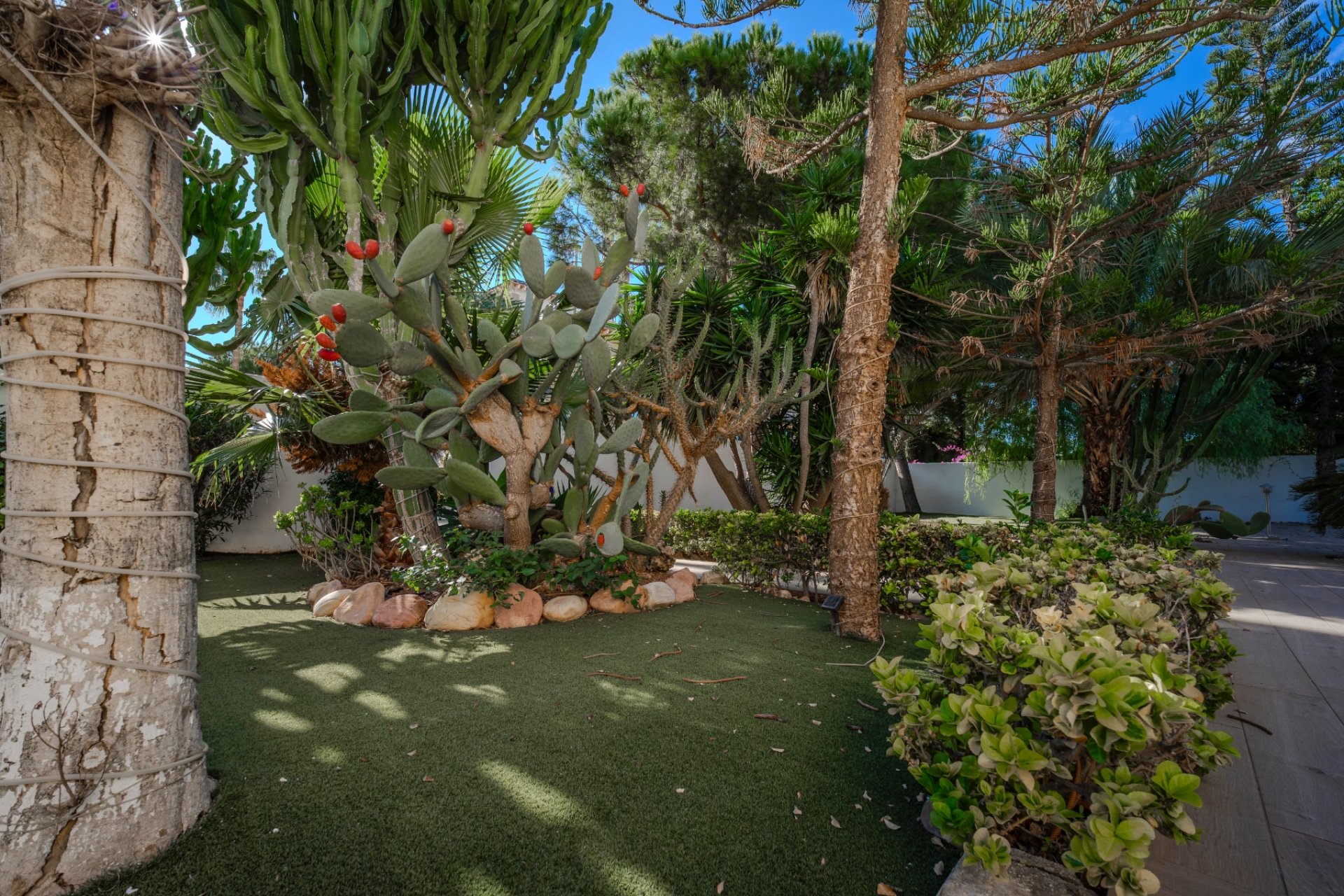 Revente - Villa - Ciudad quesada - Doña Pepa