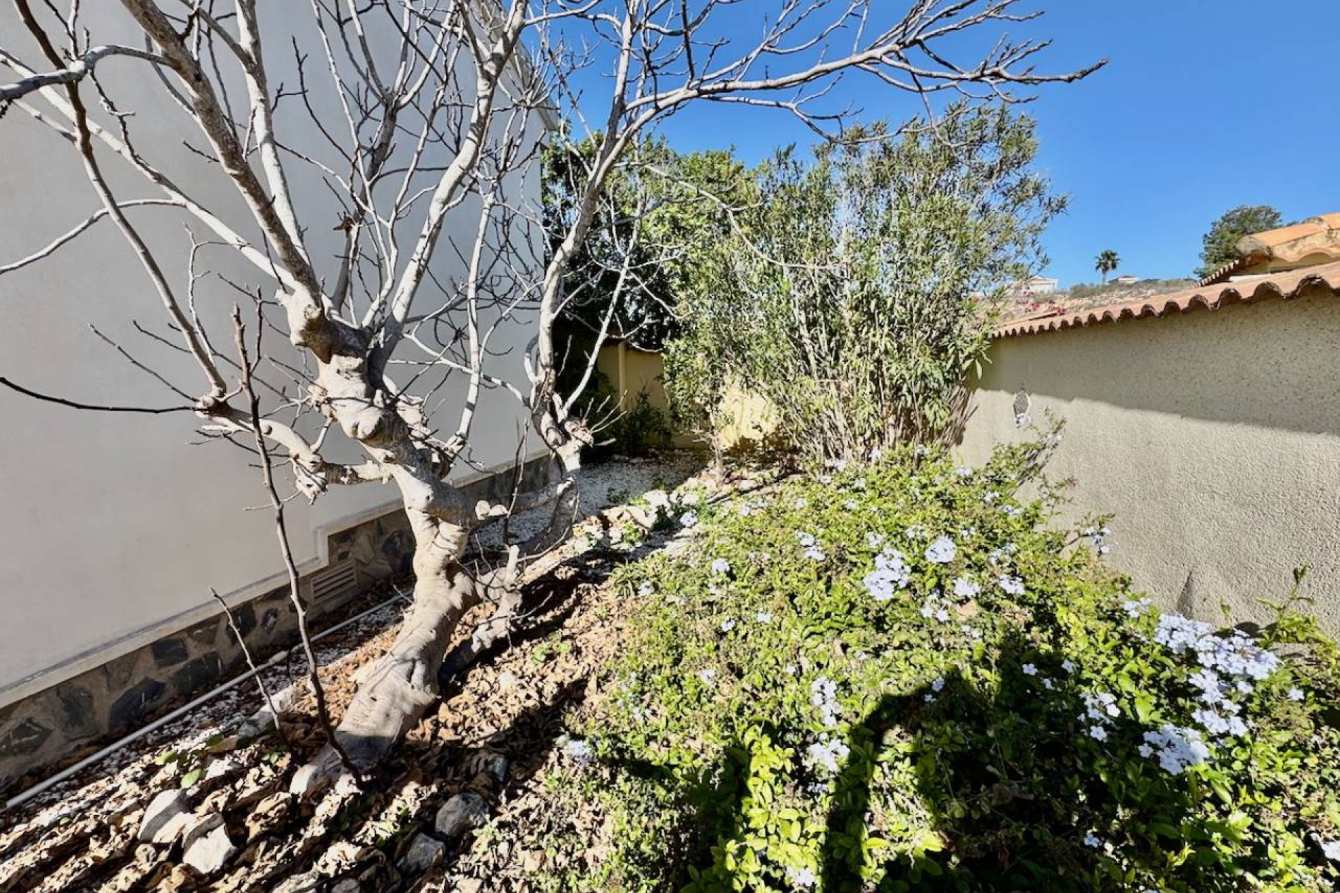 Revente - Villa - Ciudad quesada - Lo Pepin