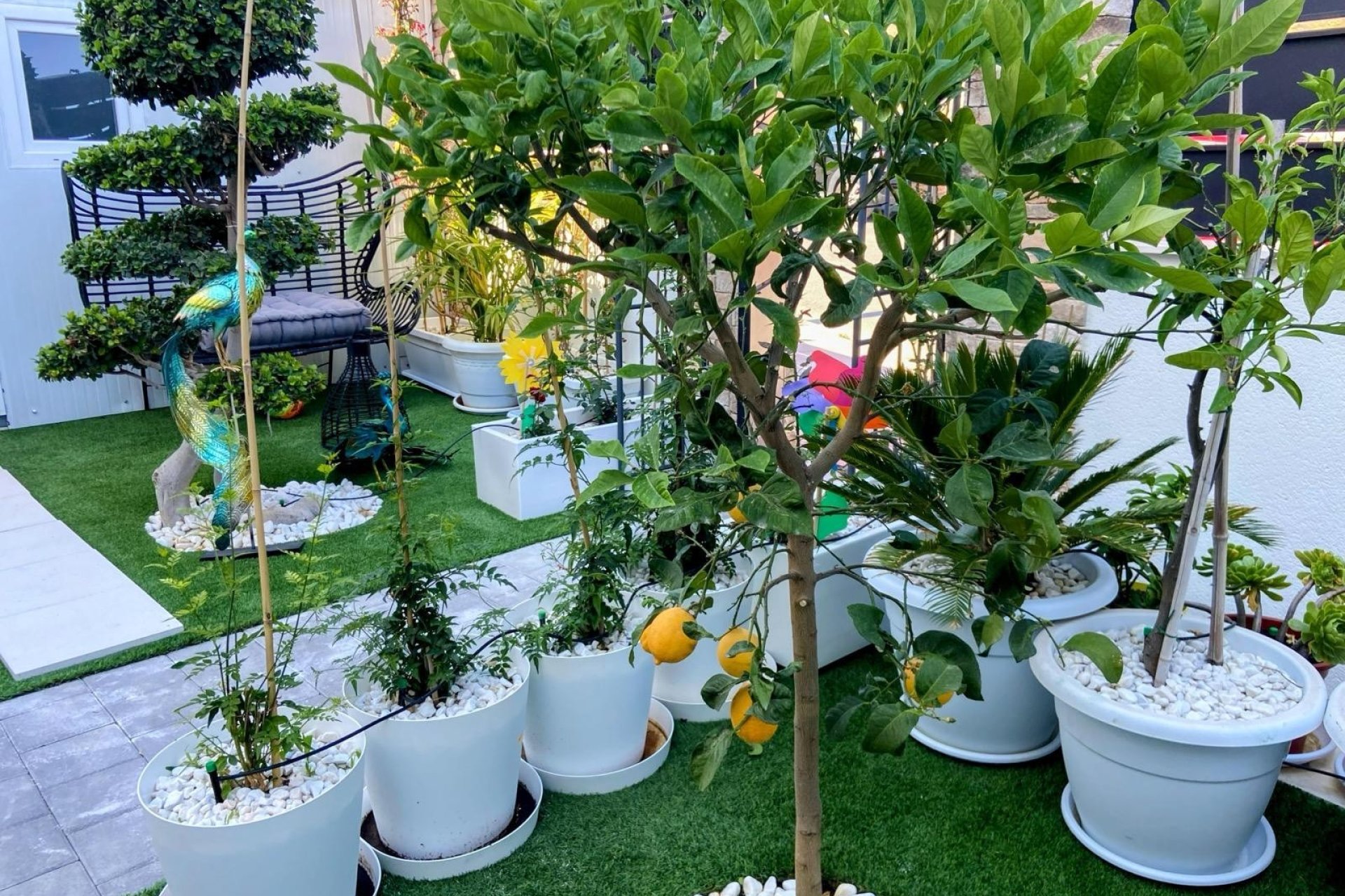 Revente - Villa - Finestrat