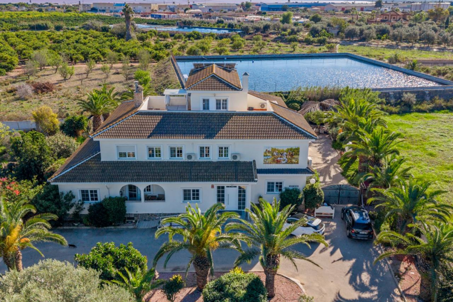 Revente - Villa - Montesinos - Los Montesinos