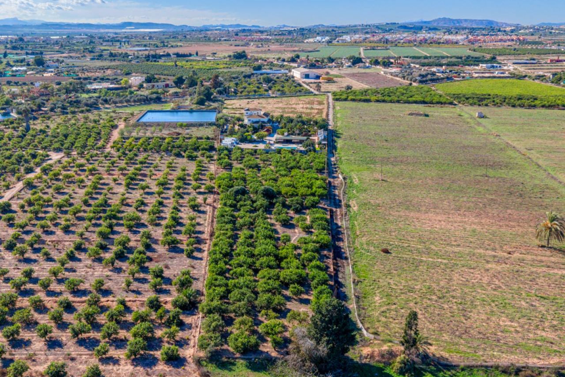 Revente - Villa - Montesinos - Los Montesinos