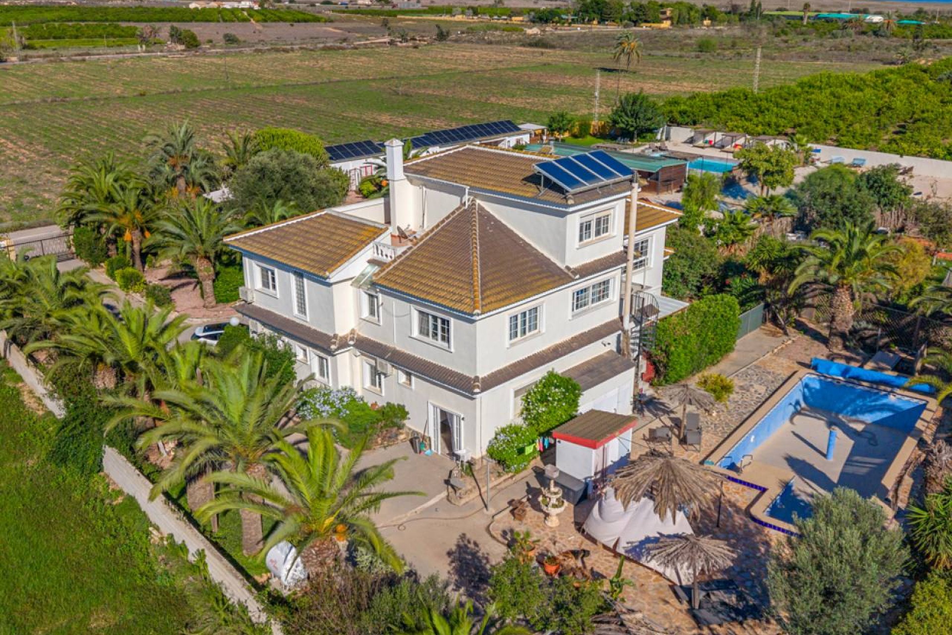 Revente - Villa - Montesinos - Los Montesinos