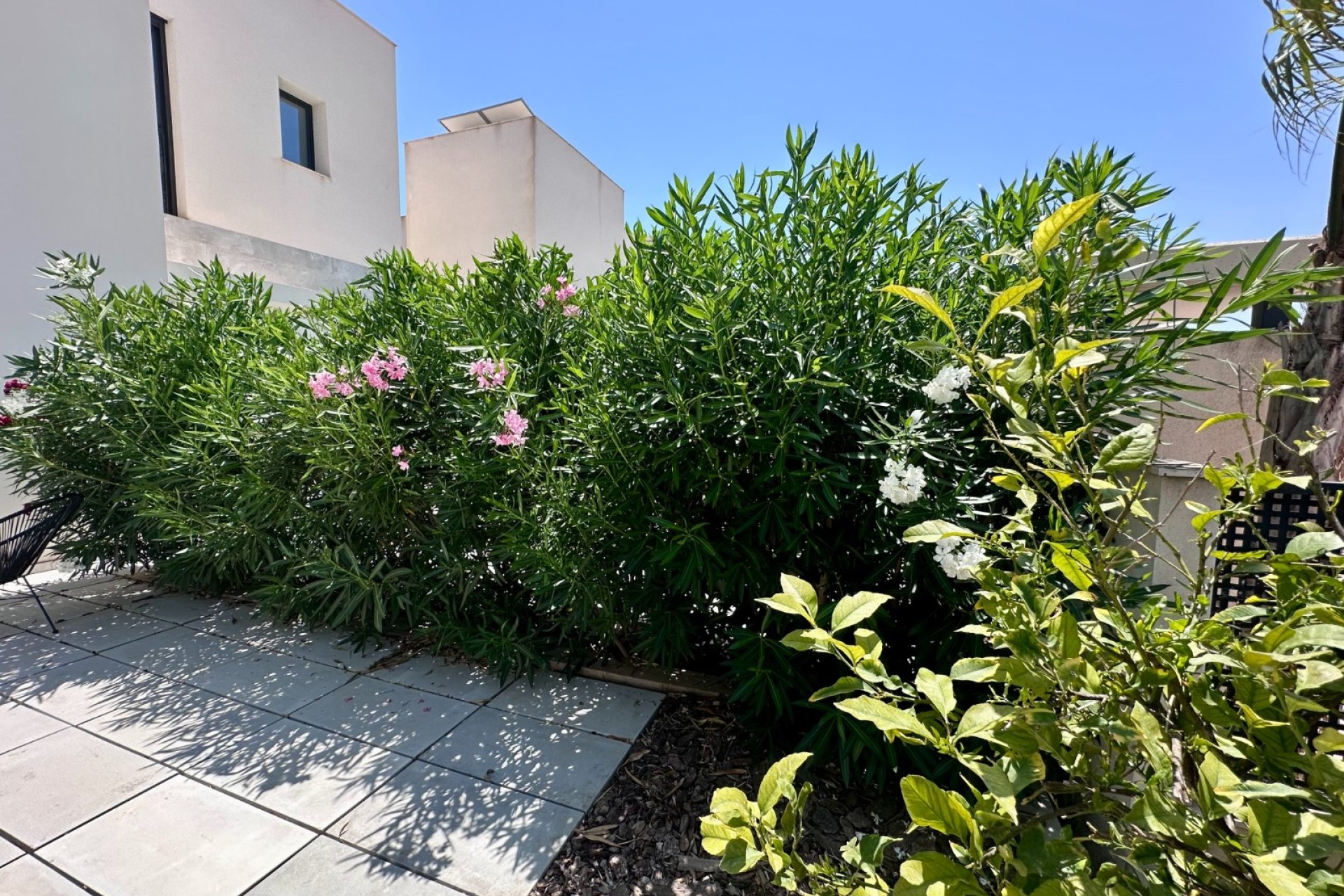 Revente - Villa - Rojales