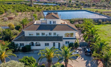 Villa - Resale - Los Montesinos - Los Montesinos
