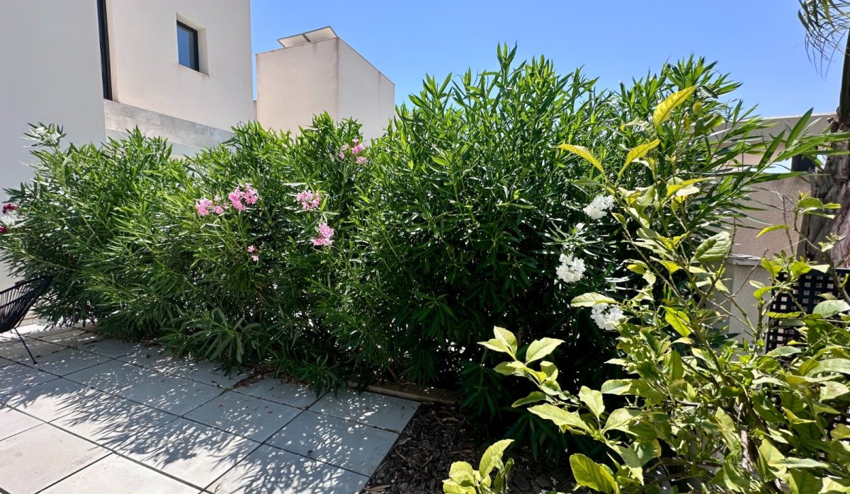 Revente - Villa - Rojales