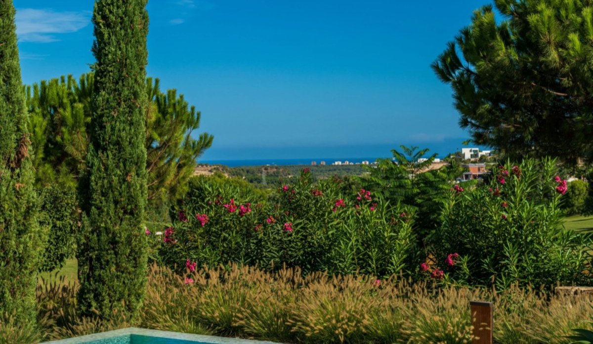 Revente - Villa - San Miguel de Salinas - Las Colinas golf