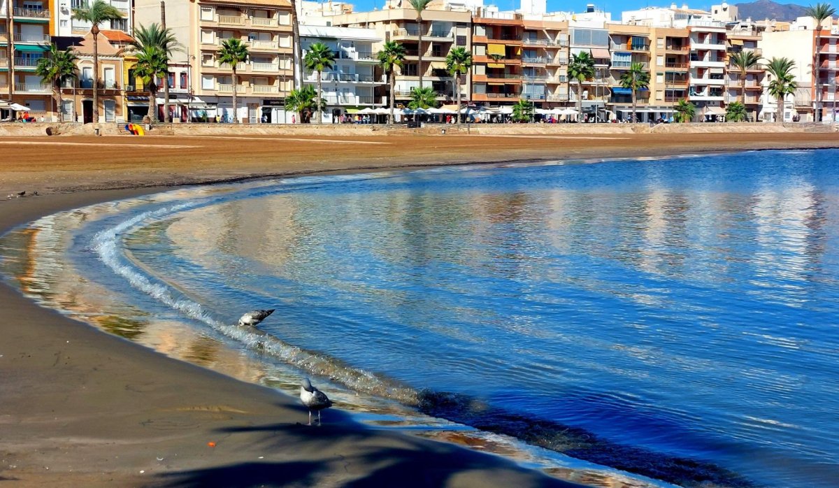 New Build - Bungalow - Fuente Álamo - La Pinilla