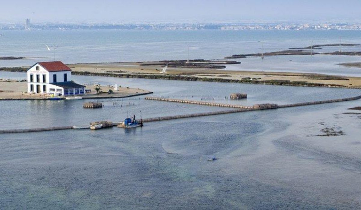 Nouvelle construction - Villa - San Pedro del Pinatar - Centro