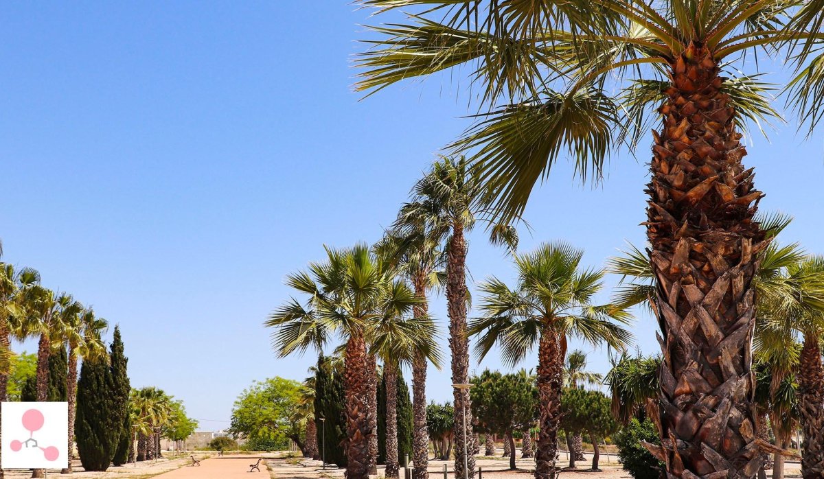 Nouvelle construction - Villa - San Fulgencio - La Escuera