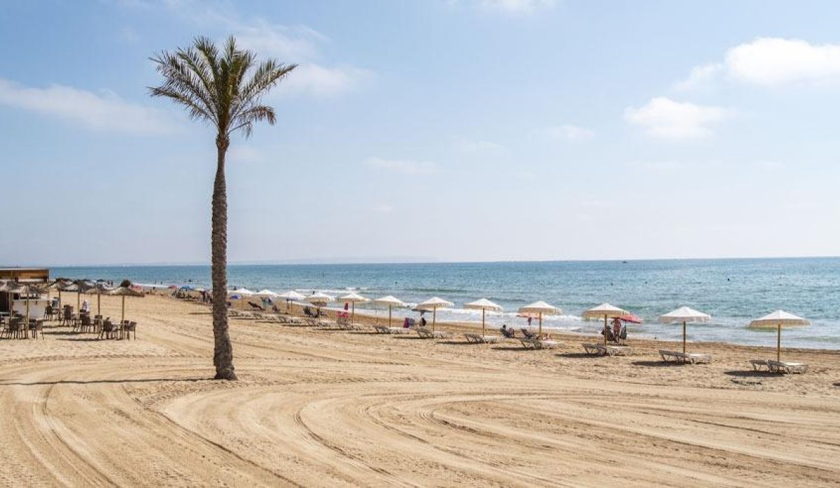 New Build - Apartment / flat - Guardamar del Segura - Pueblo