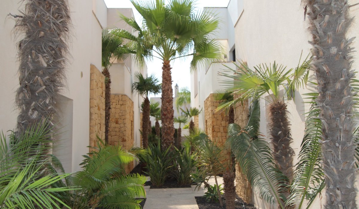 Revente - Villa - Ciudad quesada - Doña Pepa