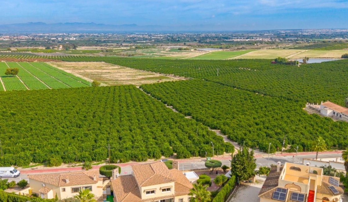 Resale - Villa - Algorfa - Castillo de montemar