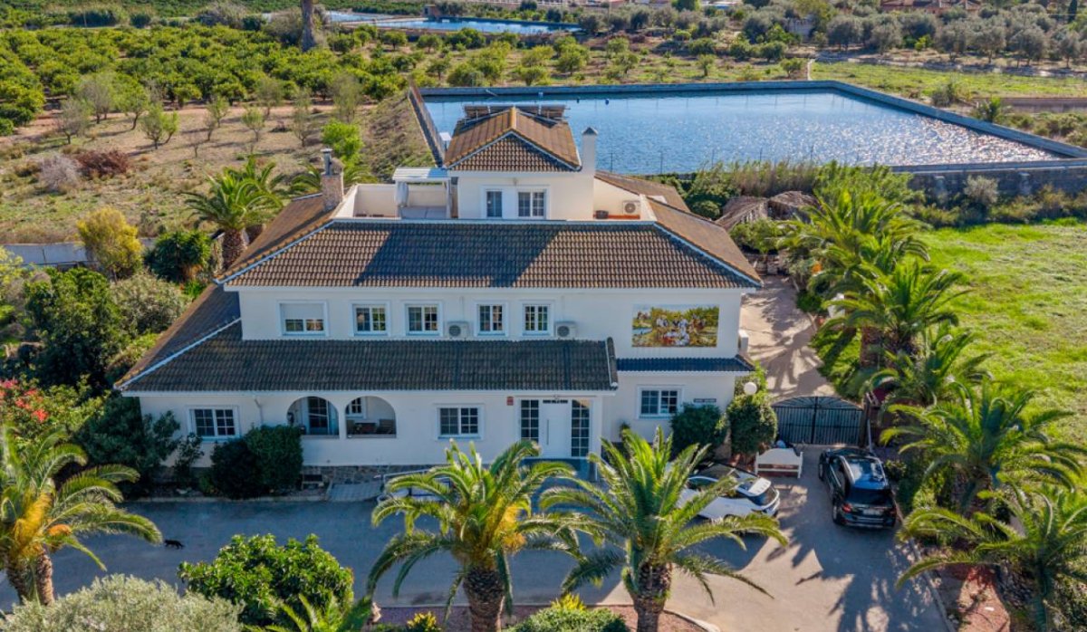 Revente - Villa - Montesinos - Los Montesinos