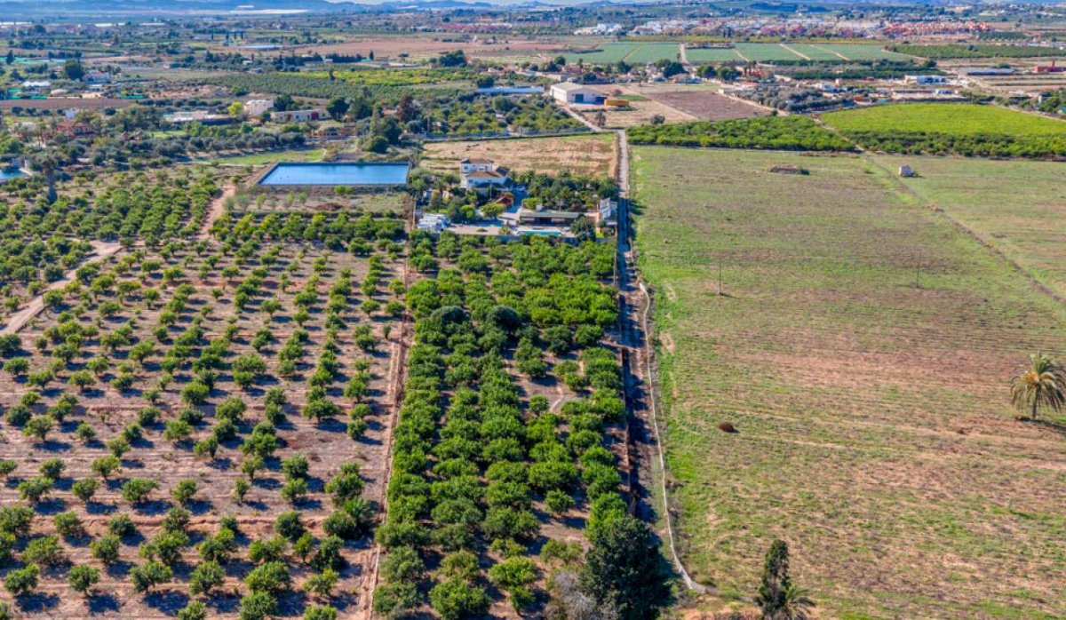 Revente - Villa - Montesinos - Los Montesinos