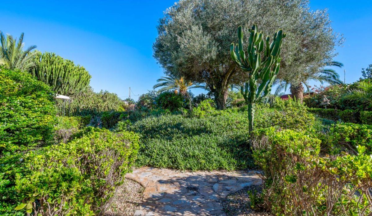 Revente - Villa - Montesinos - Los Montesinos