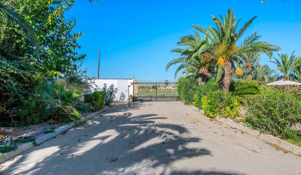 Revente - Villa - Montesinos - Los Montesinos