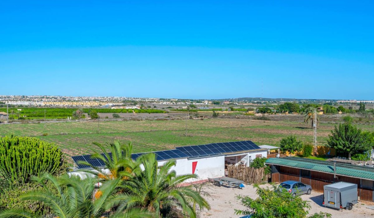 Revente - Villa - Montesinos - Los Montesinos