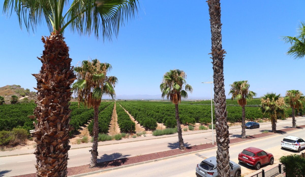 Resale - Villa - Algorfa - La Finca Golf Resort