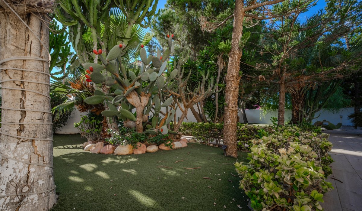 Reventa - Villa - Ciudad quesada - Doña Pepa