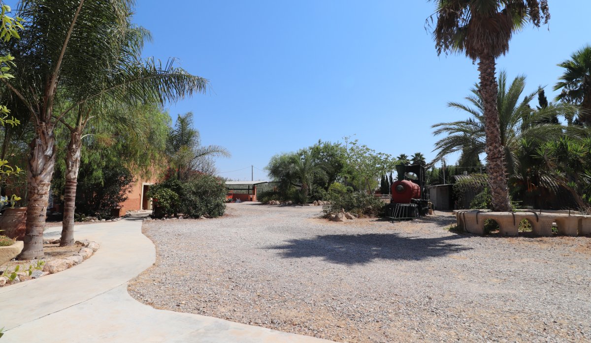 Revente - Villa - Catral - Catral - Country