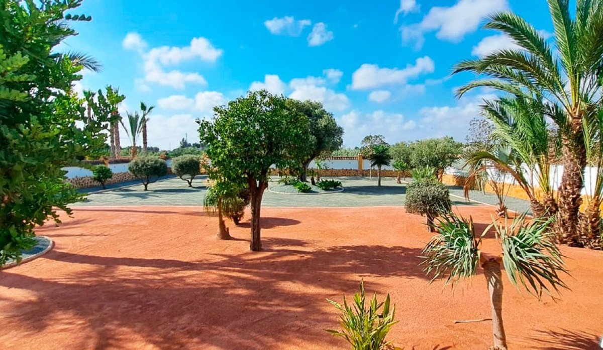 Resale - Villa - Catral - Catral - Country