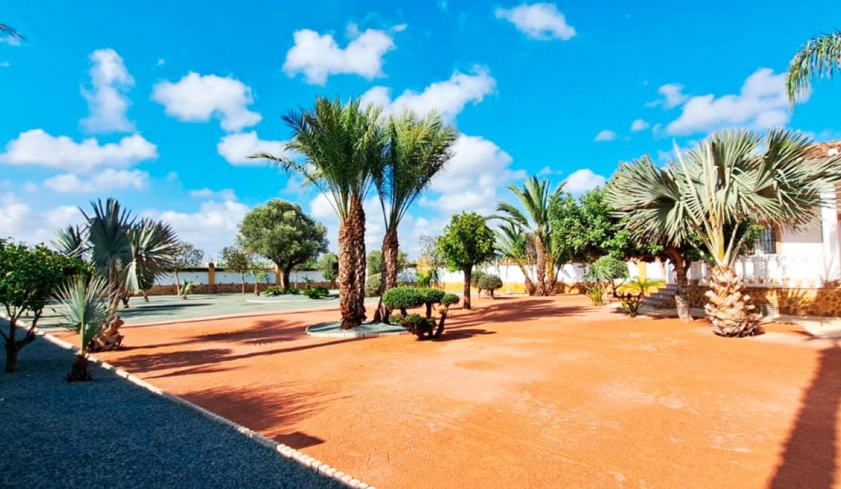 Resale - Villa - Catral - Catral - Country