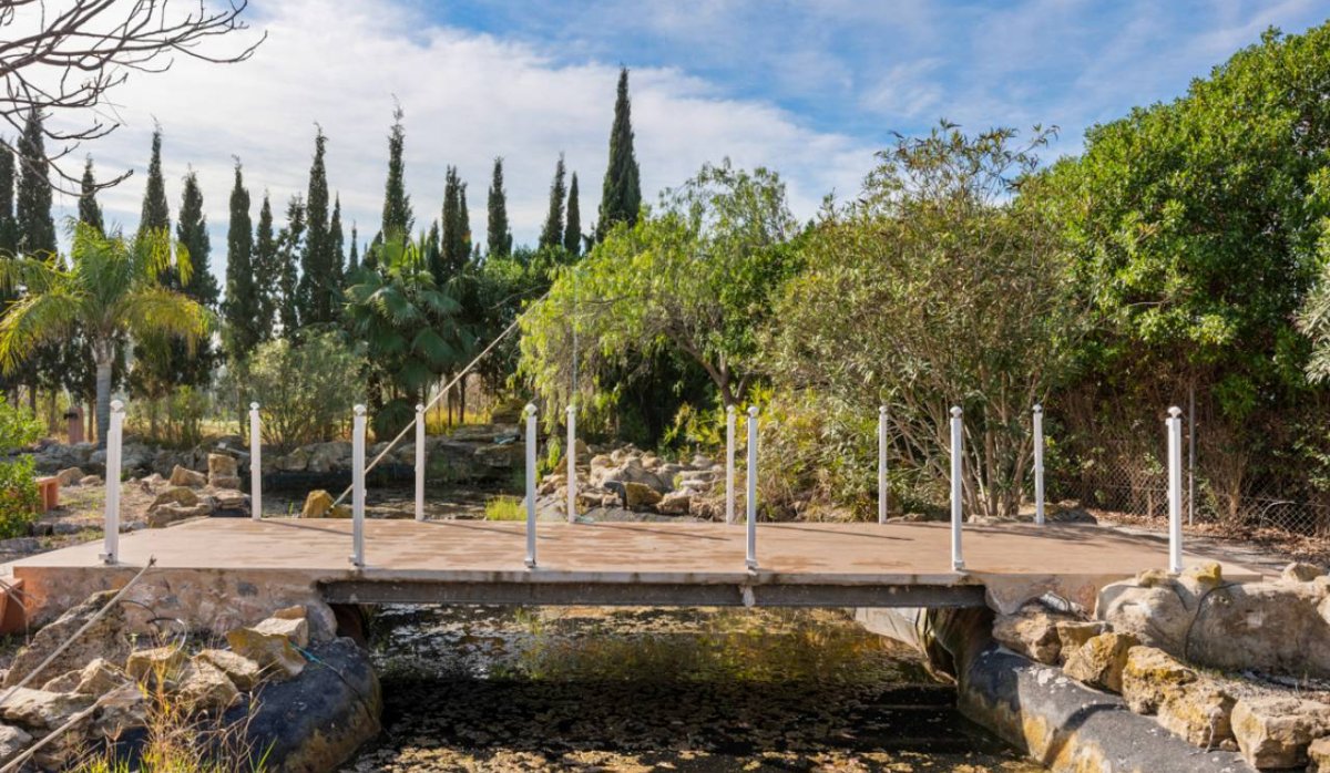 Reventa - Villa - Catral