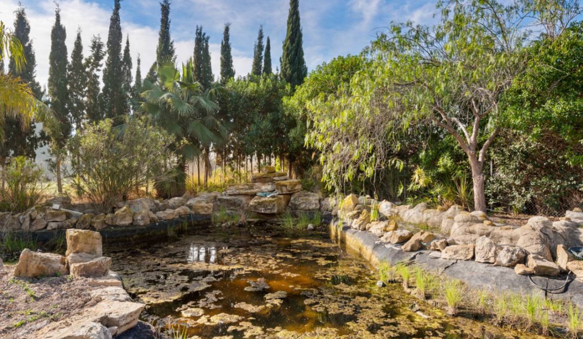 Reventa - Villa - Catral