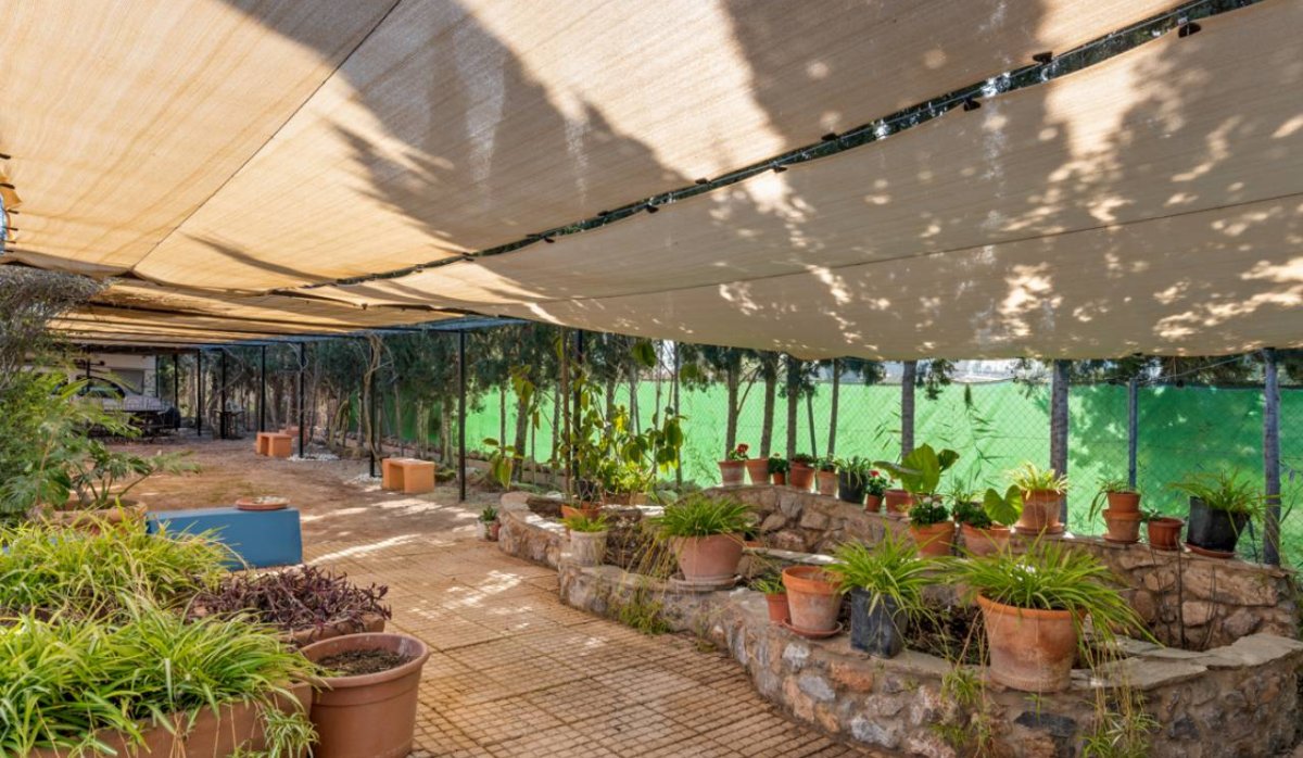 Reventa - Villa - Catral