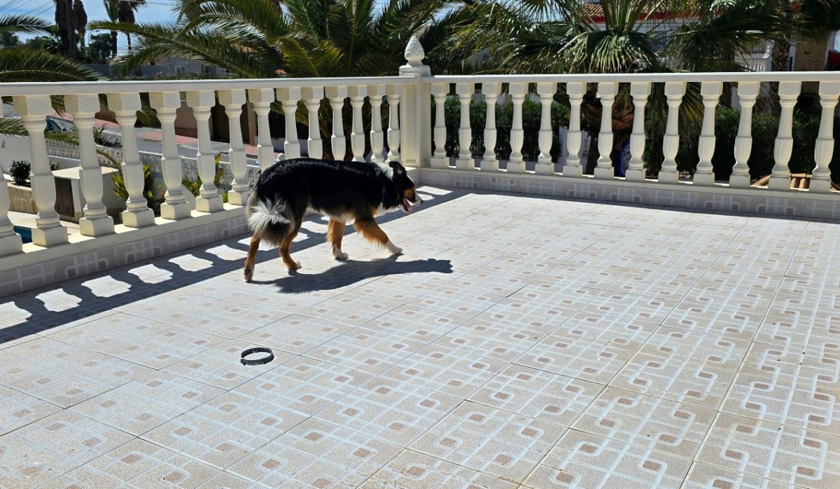 Resale - Villa - Torrevieja - El Chaparral