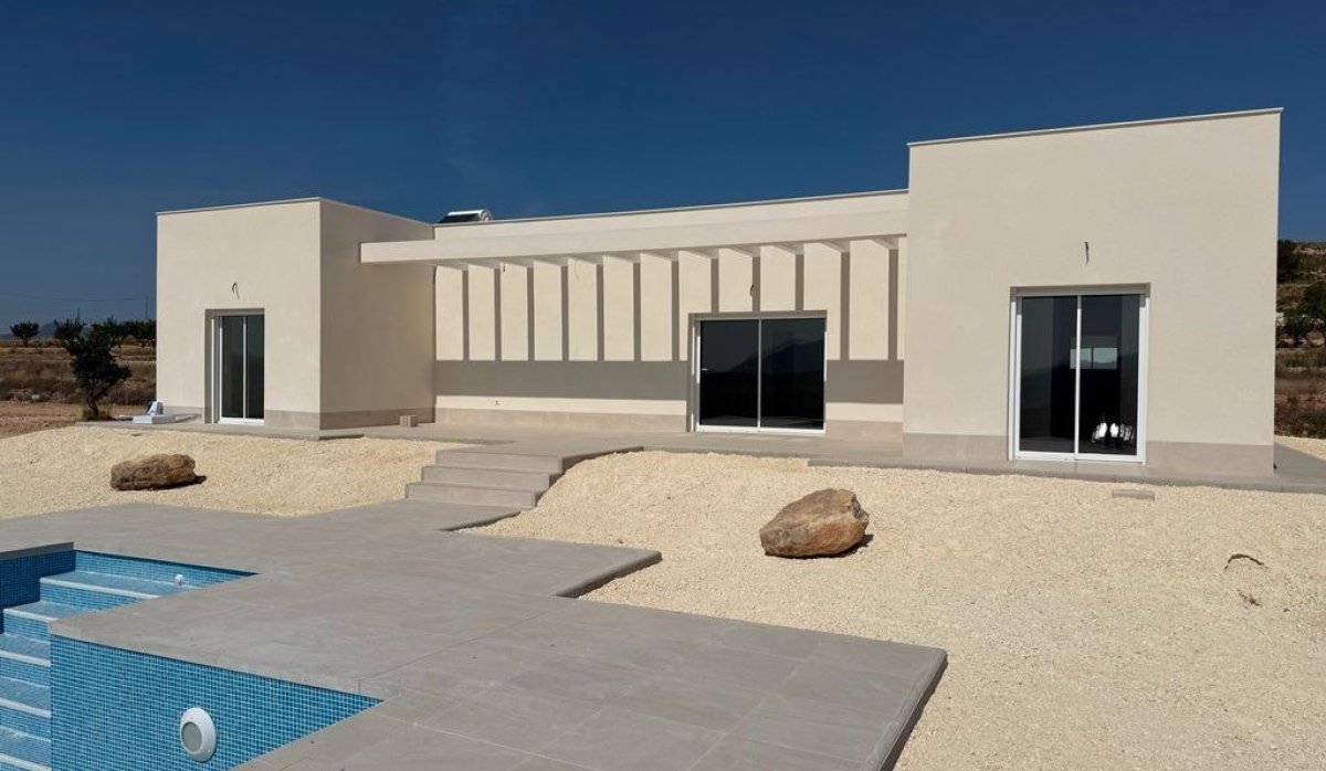 New Build - Villa - Pinoso - Camino Del Prado