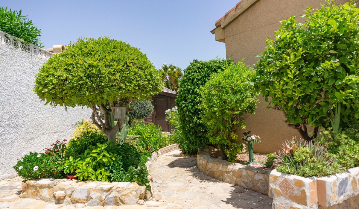 Revente - Villa - Ciudad quesada - town