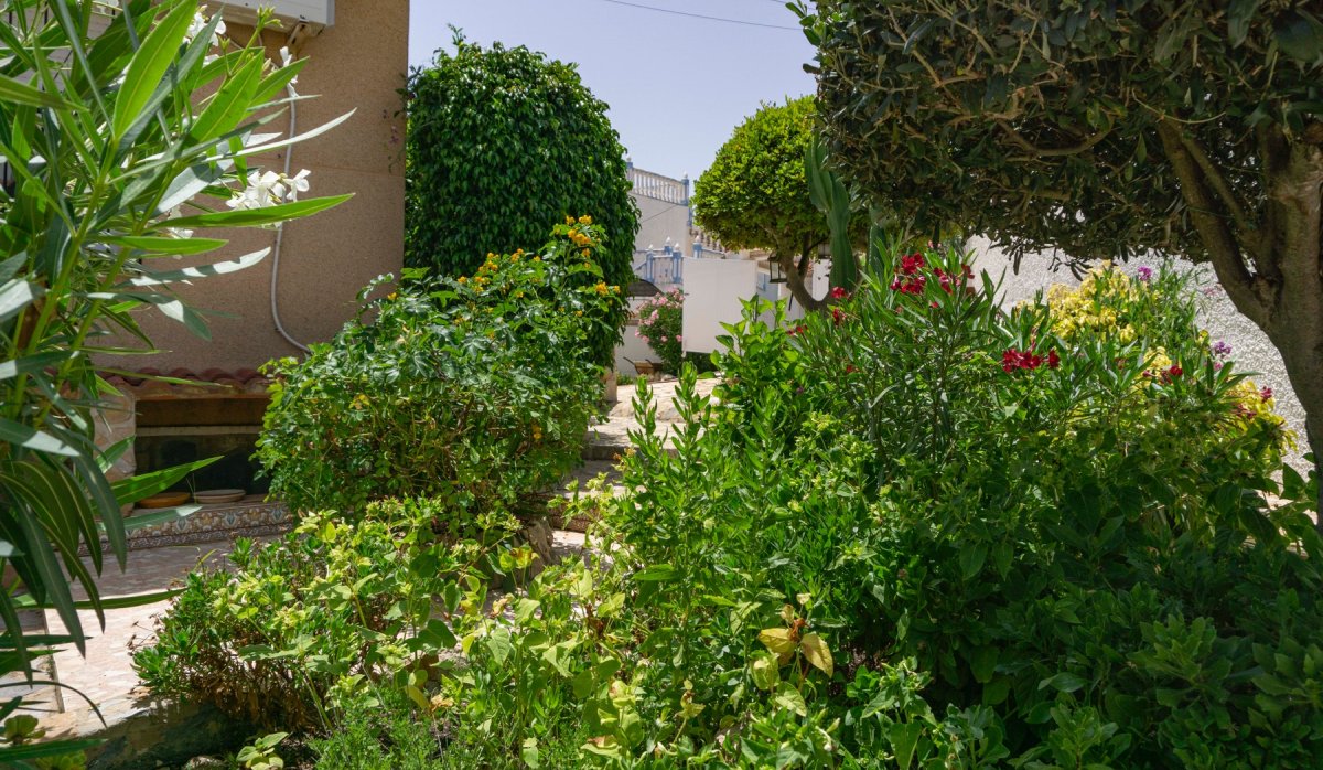 Revente - Villa - Ciudad quesada - town