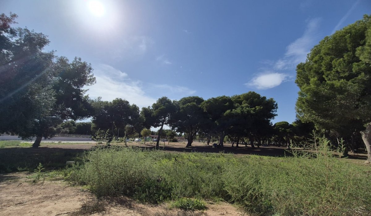 Resale - Apartment / flat - San Javier - Santiago de la Ribera