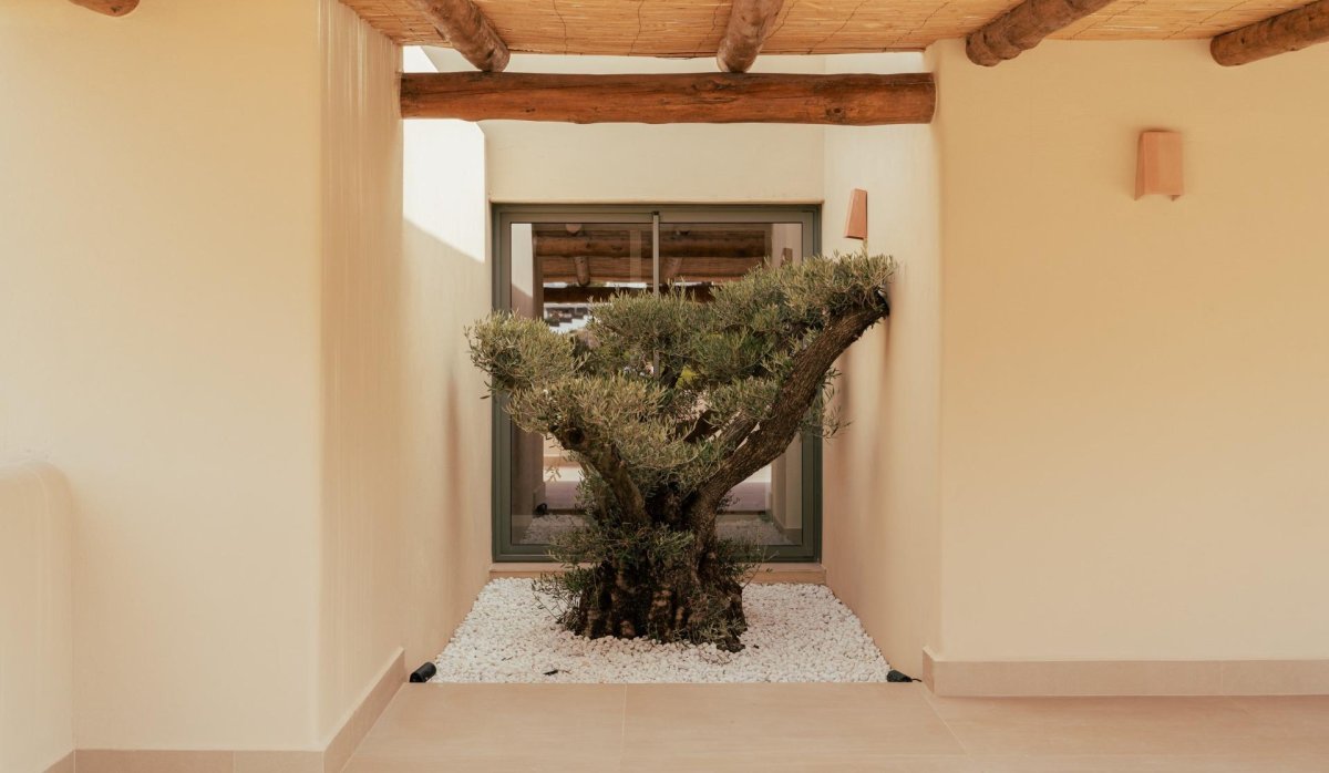 Nouvelle construction - Villa - Jávea Xàbia - Valle del Sol