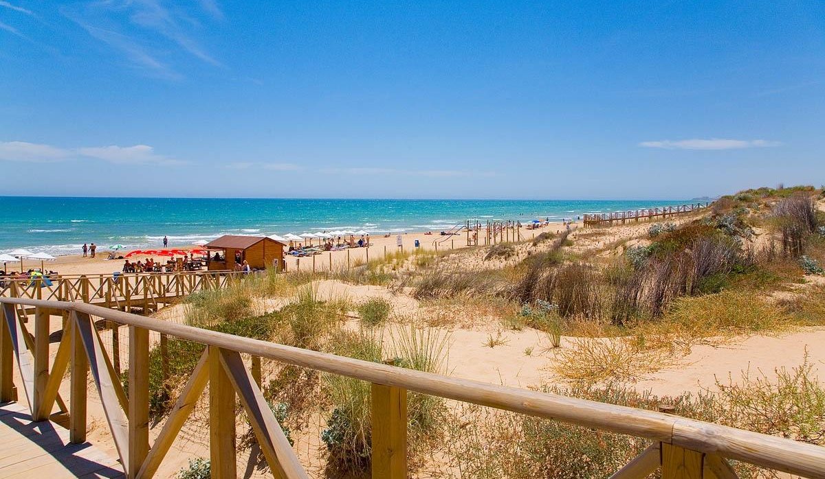 Obra nueva - Apartamento / piso - Guardamar del Segura - Pueblo