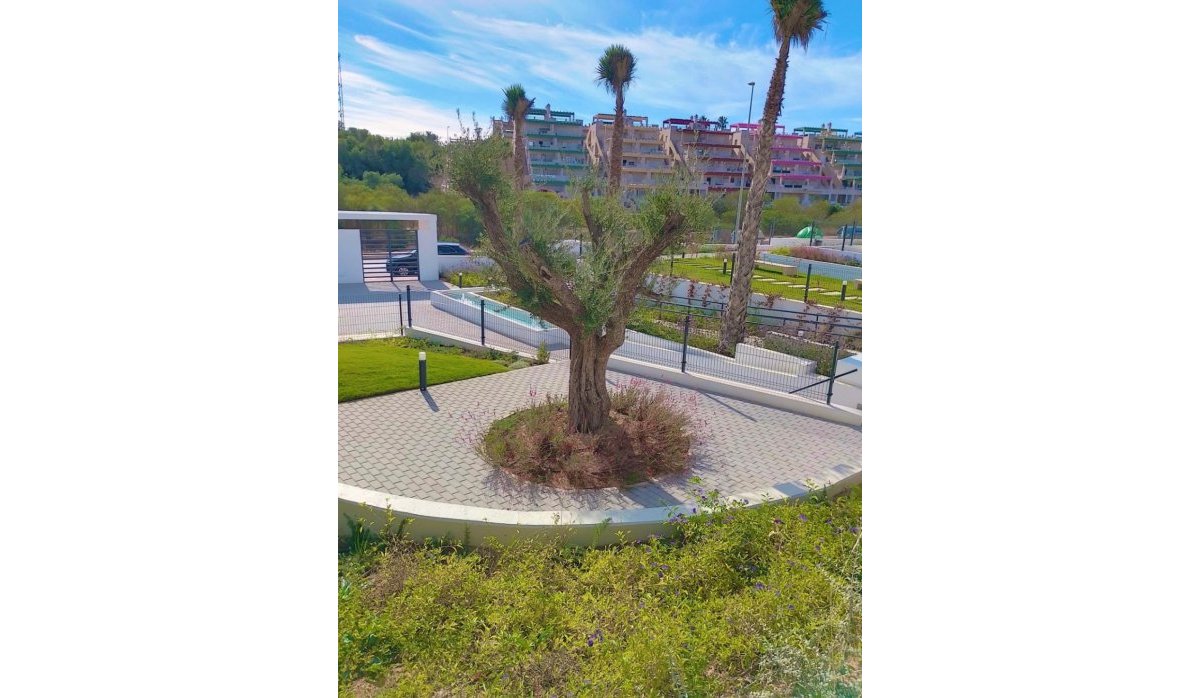 Revente - Appartement - Orihuela - Costa Blanca Sur
