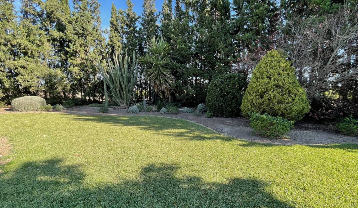 Resale - Villa - Daya Nueva