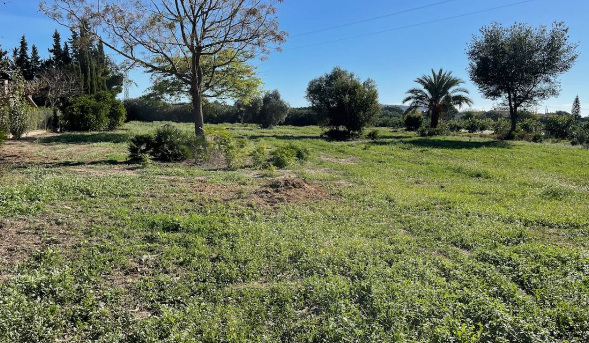 Resale - Villa - Daya Nueva