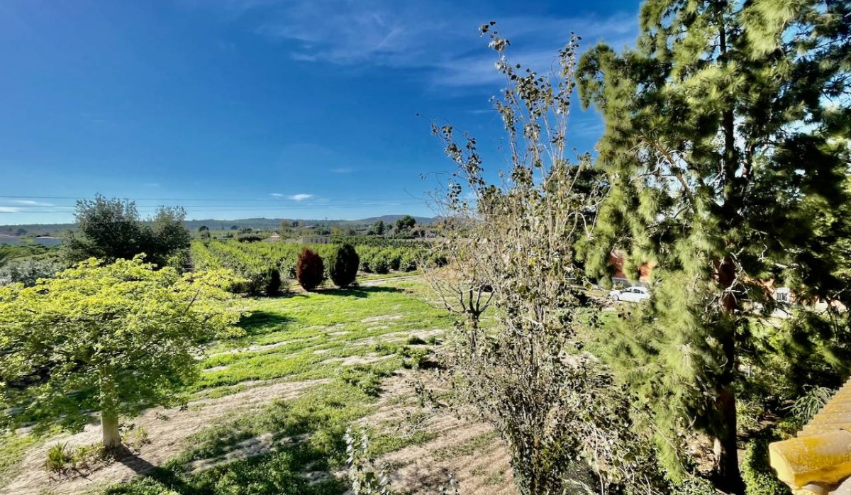 Resale - Villa - Daya Nueva