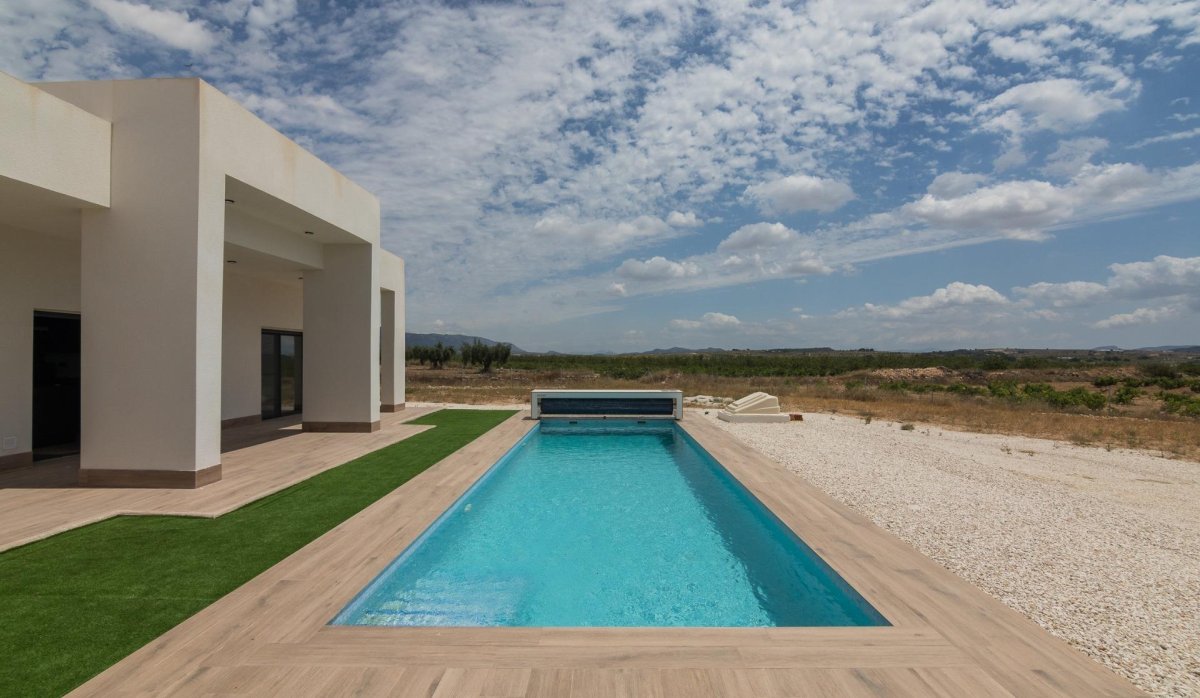 Nouvelle construction - Villa - Pinoso - Campo