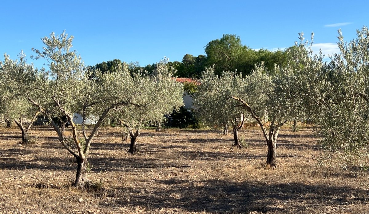 Resale - Villa - Sax